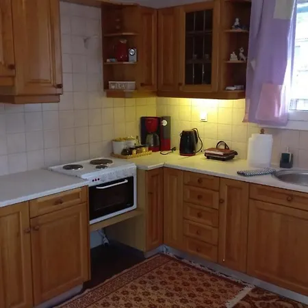 דירות ויטינה Mainalo View House מראה חיצוני תמונה