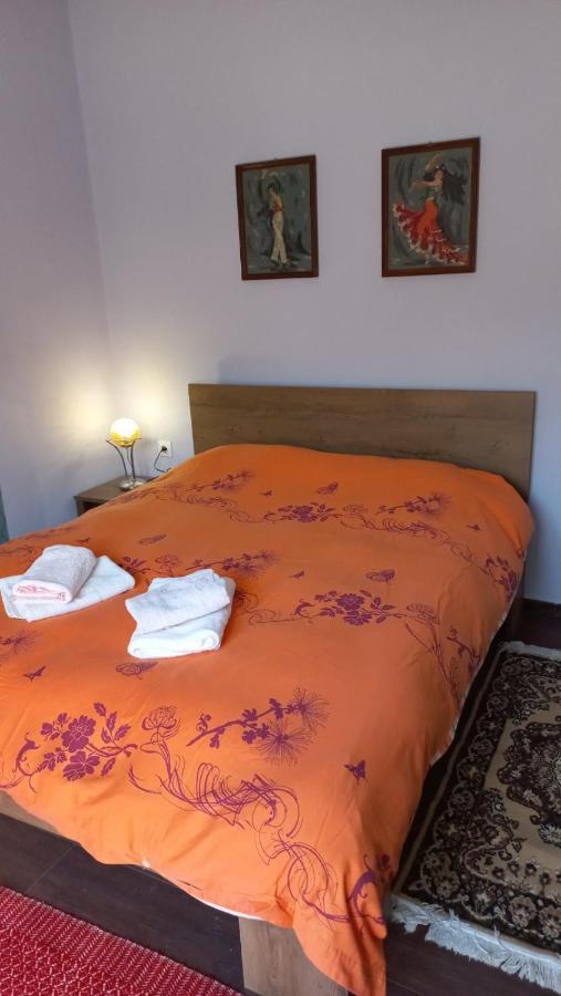 Apartament Mainalo View House